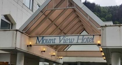 Nonsmoking Japanesestyle room with 10 tatami m / Kamikawa-gun HokkaidĆ