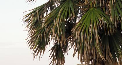 NonsmokingIppe DaikiriGuest House aoshima tei / Miyazaki Miyazaki