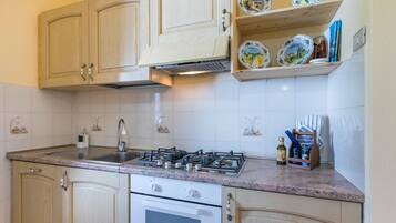 Fridge, oven, dishwasher, cookware/dishes/utensils