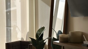 Ein modernes Wohnzimmer mit einer Couch, zwei Blumentöpfen, einem Couchtisch und einem Spiegel, der den Raum reflektiert.