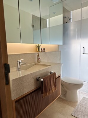 Shower, hair dryer, towels, soap