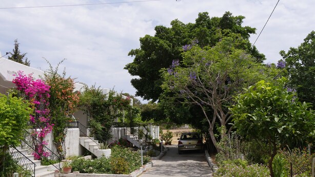 Una calle estrecha con un coche estacionado, abundante vegetación y un edificio con escaleras.