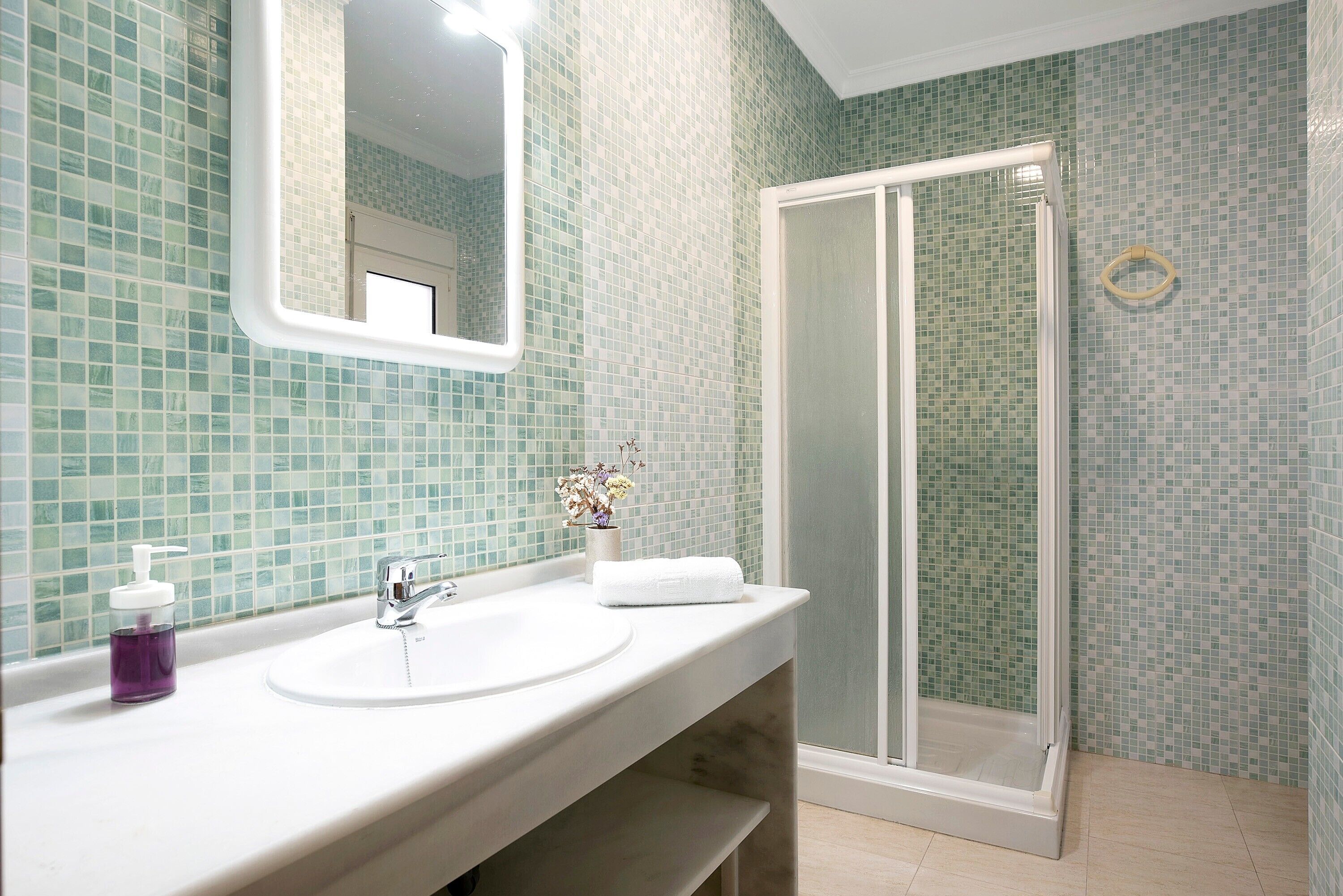 Shower, hair dryer, towels