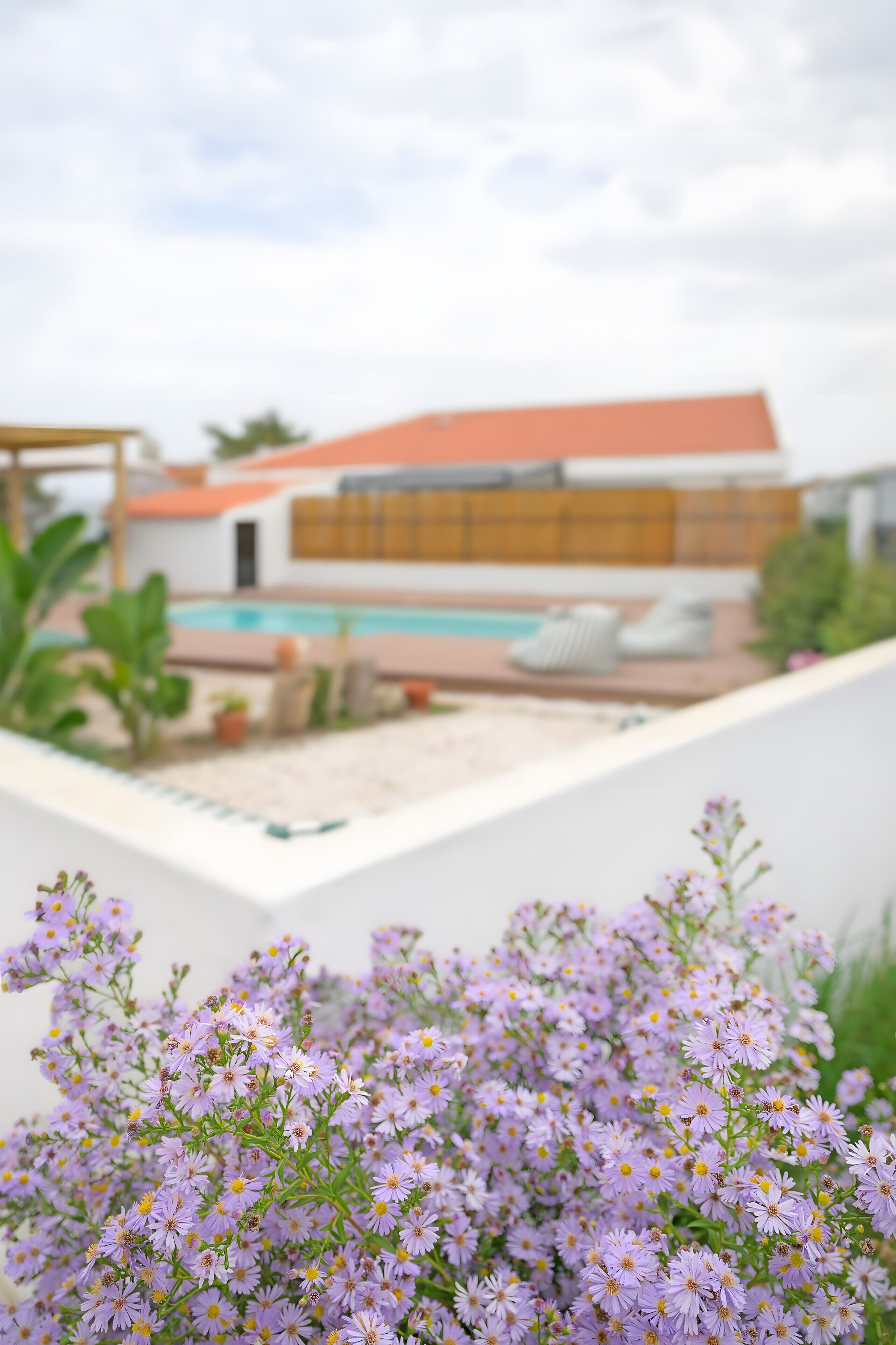 Entorno residencial con piscina, mobiliario exterior y jardín con flores moradas.