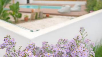Entorno residencial con piscina, mobiliario exterior y jardín con flores moradas.