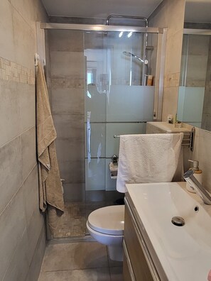 A modern bathroom with a glass-enclosed shower, a white toilet, and a large sink.