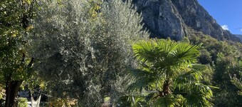 Heated Private Pool with Vercors Mountain Views