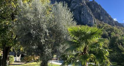 Heated Private Pool with Vercors Mountain Views