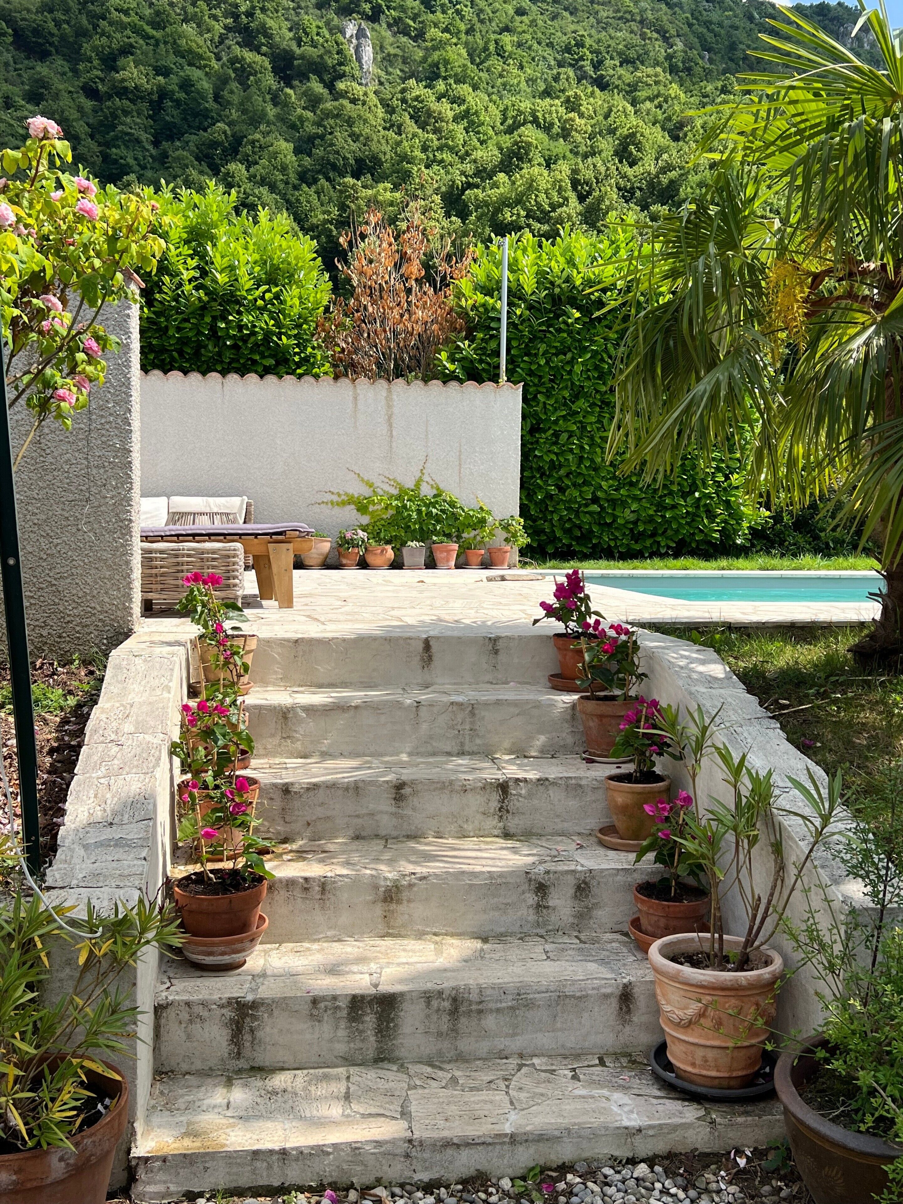 A set of outdoor stone steps leading to a pool area, surrounded by potted plants and a lush green backdrop.