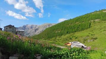 A mountainous landscape with a building and a small structure with a sloped roof.