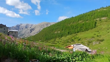 Jardines del alojamiento