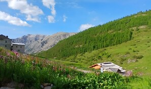 Ulkoalueet