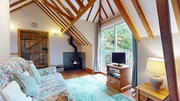 Télévision, cheminée