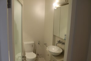 A small bathroom with a toilet, sink, and mirror. - Loader Street Apartment - Lovely one Bedroom in De Waterkant (Cape Town)