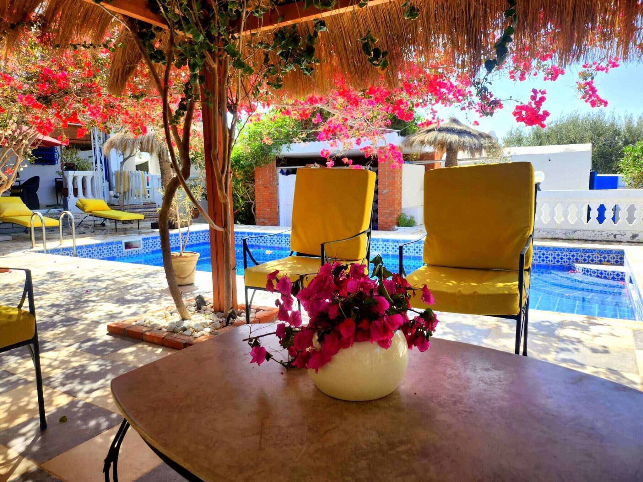 Zona junto a la piscina con una mesa, sillas amarillas y un jarrón de flores rosadas.