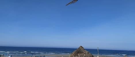 Privatstrand in der NĂ€he, weiĂer Sandstrand