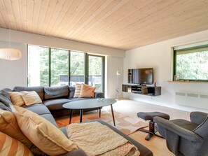 Fernseher, Kamin, DVD-Player