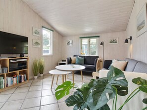 Fernseher, Kamin, DVD-Player