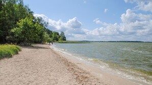 A sandy beach with trees and a calm body of water. - Ferienwohnung Neppermin/Usedom (Neppermin/Usedom)