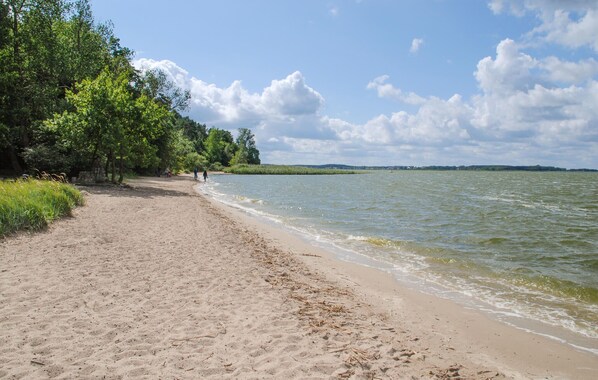A sandy beach with trees and a calm body of water.