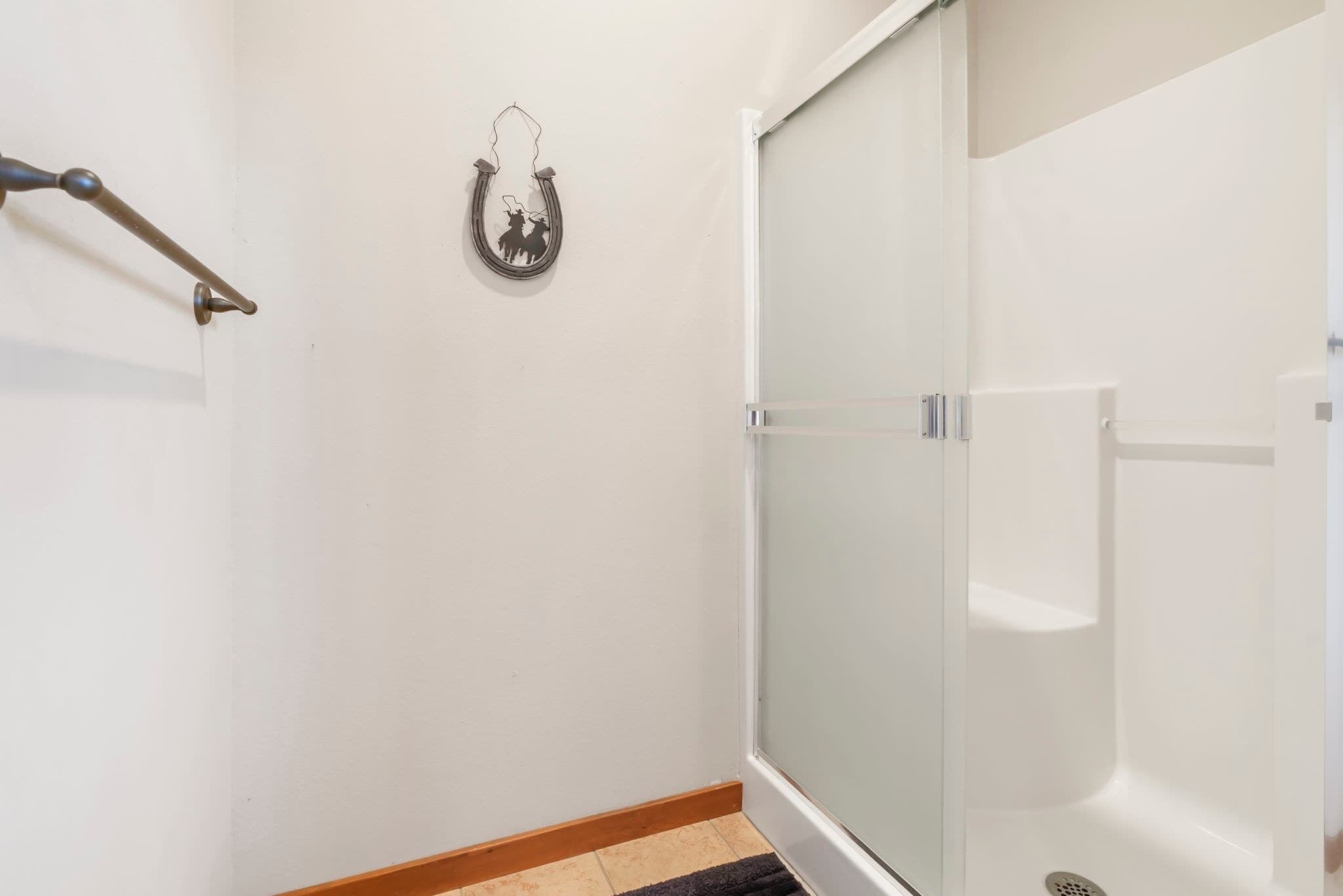 A bathroom with a glass shower enclosure, a handrail, and a decorative horseshoe on the wall.