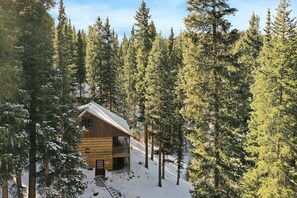 Exterior - Secluded Rustic Mountain Retreat w/ Updated Touch (Breckenridge)