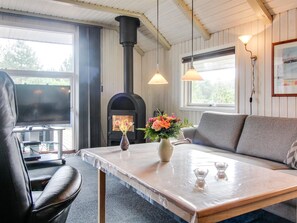 TV, fireplace, DVD player