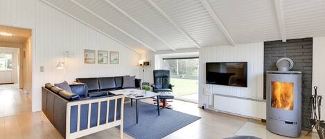 TV, fireplace, DVD player