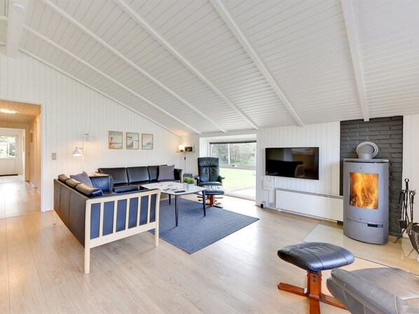 TV, fireplace, DVD player