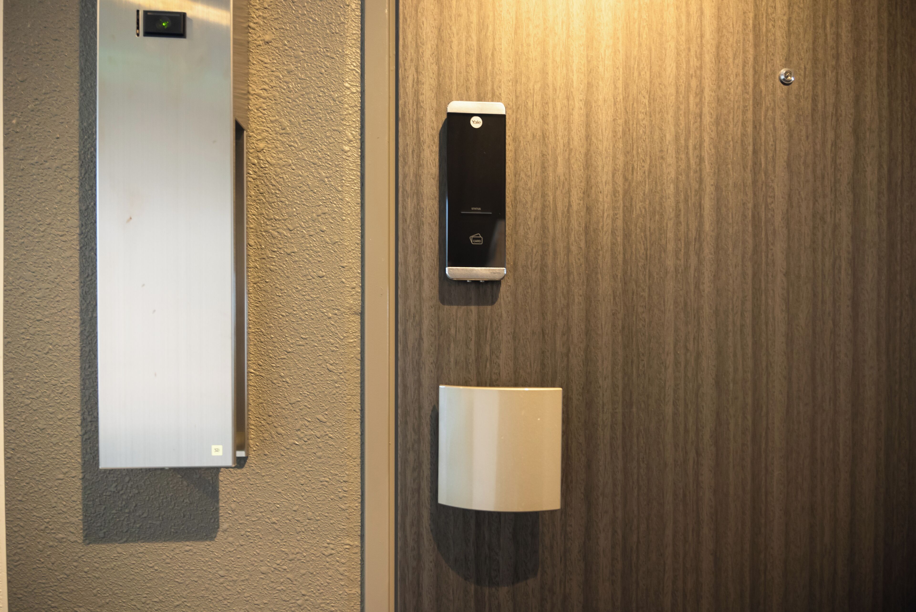 A wall-mounted intercom and a light switch on a wooden door.