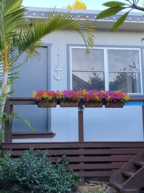 A building with a white exterior, a wooden deck, and a sign reading 'SEABREEZE'. - Beachside cabin + solar heated pool @ Spoon Bay (Forresters Beach)