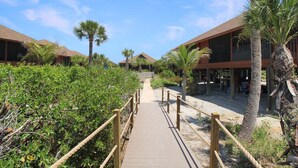 Un sendero de madera que lleva a un resort con varias construcciones, rodeado de palmeras y follaje.