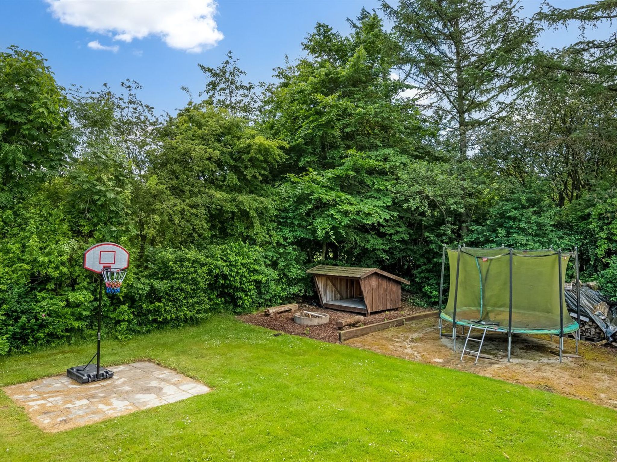 En baghave med basketballkurv, et træskur og en trampolin.