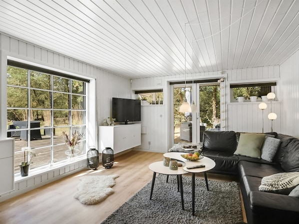 Fernseher, Kamin, DVD-Player