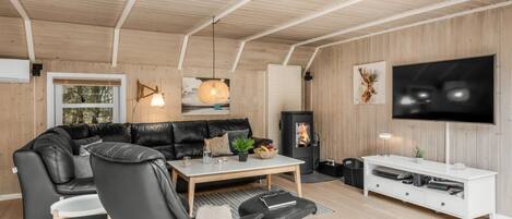 TV, fireplace, DVD player