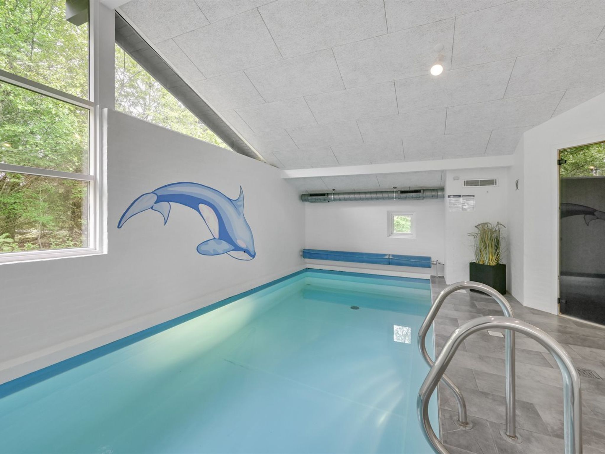 Une piscine intérieure ornée d’une fresque représentant des dauphins, avec une fenêtre et une plante.