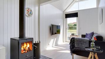 Télévision, cheminée