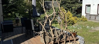 Ferienhaus 'Schmidtsches Quartier' mit Bergblick, privater Terrasse und WLAN