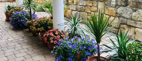 Áreas de la propiedad