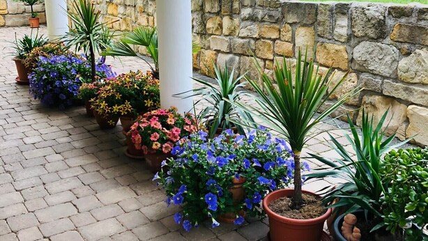 A covered outdoor area with potted plants arranged along a stone wall, a paved walkway, and a view of a well-maintained garden. - Apartment 'Ferienwohnung Mit Terrasse, Garten' with Private Terrace, Private Garden and Wi-Fi (Gotha)
