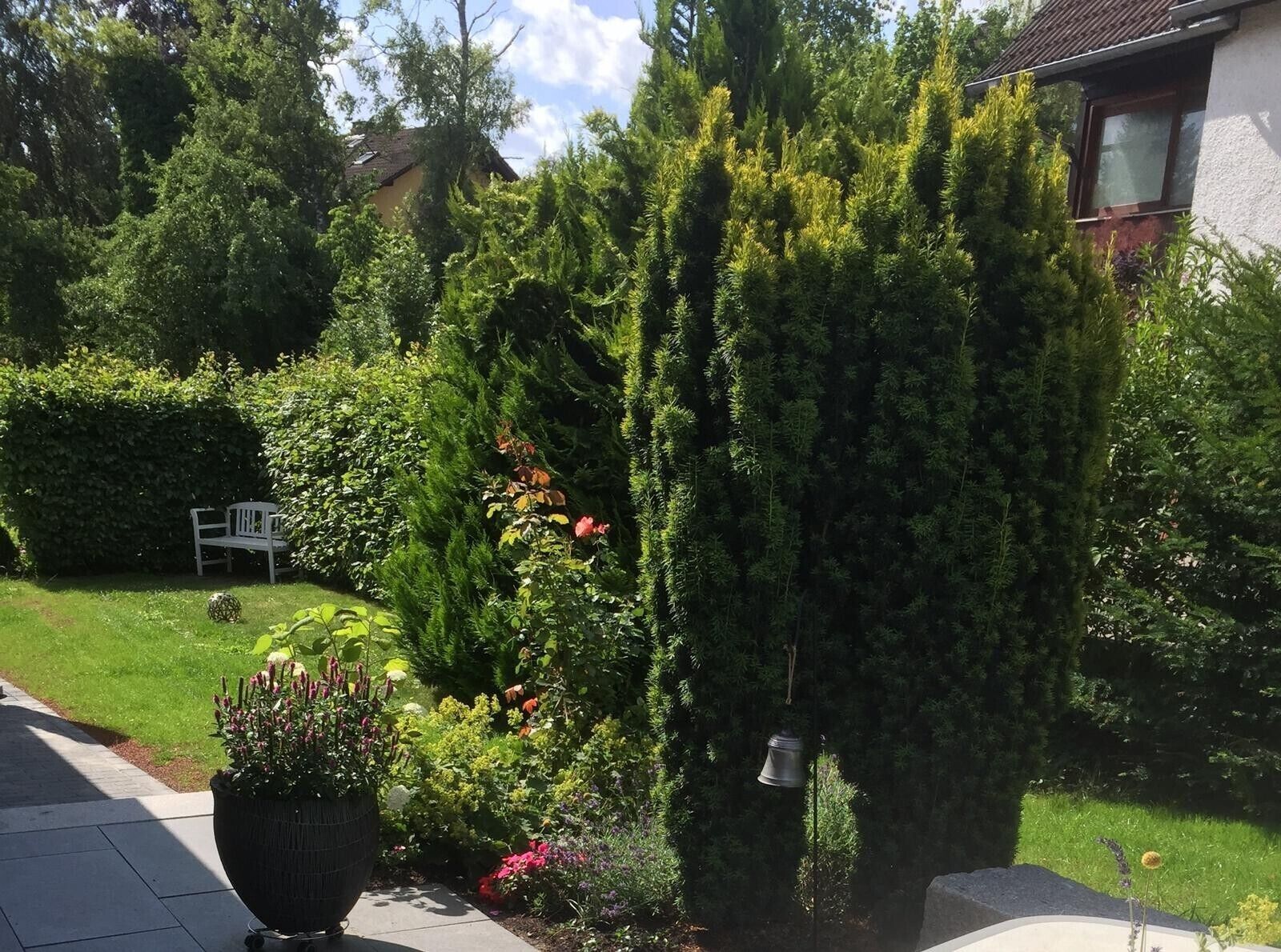 Área da propriedade