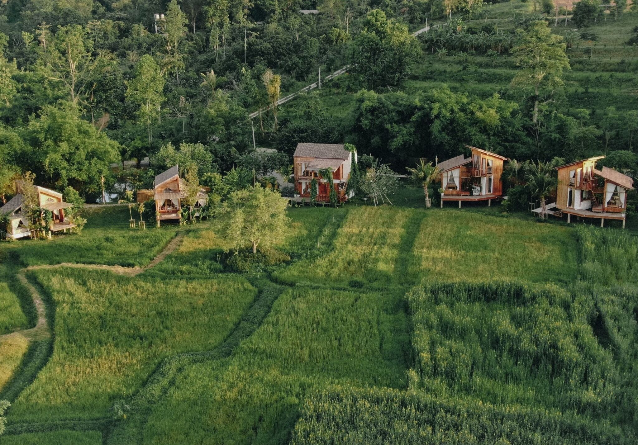 A rural area with several wooden houses surrounded by lush greenery and terraced fields.