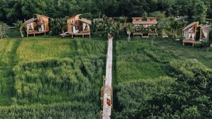 Varias cabañas de madera en un paisaje verde y exuberante.