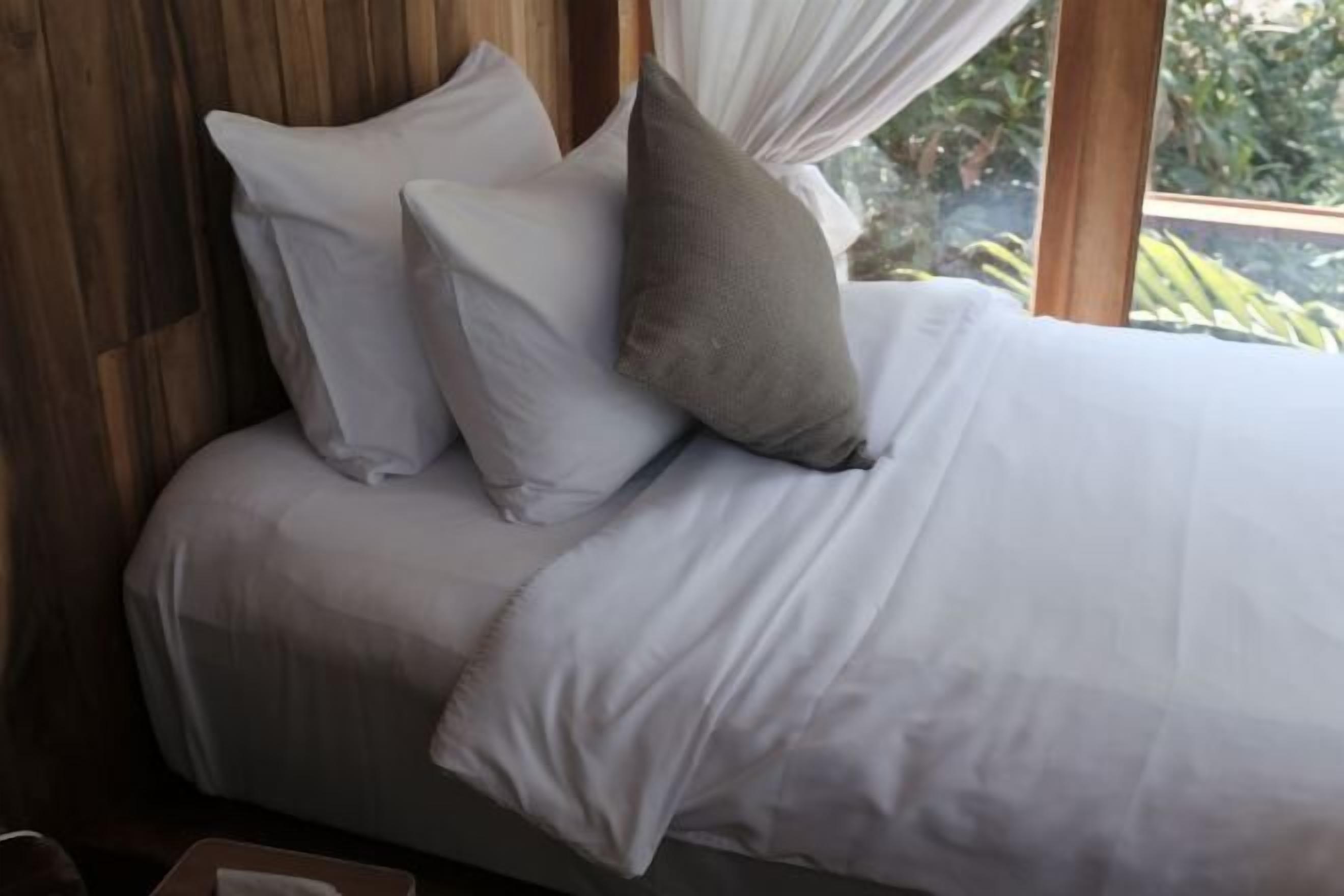 Free minibar items, free WiFi, bed sheets