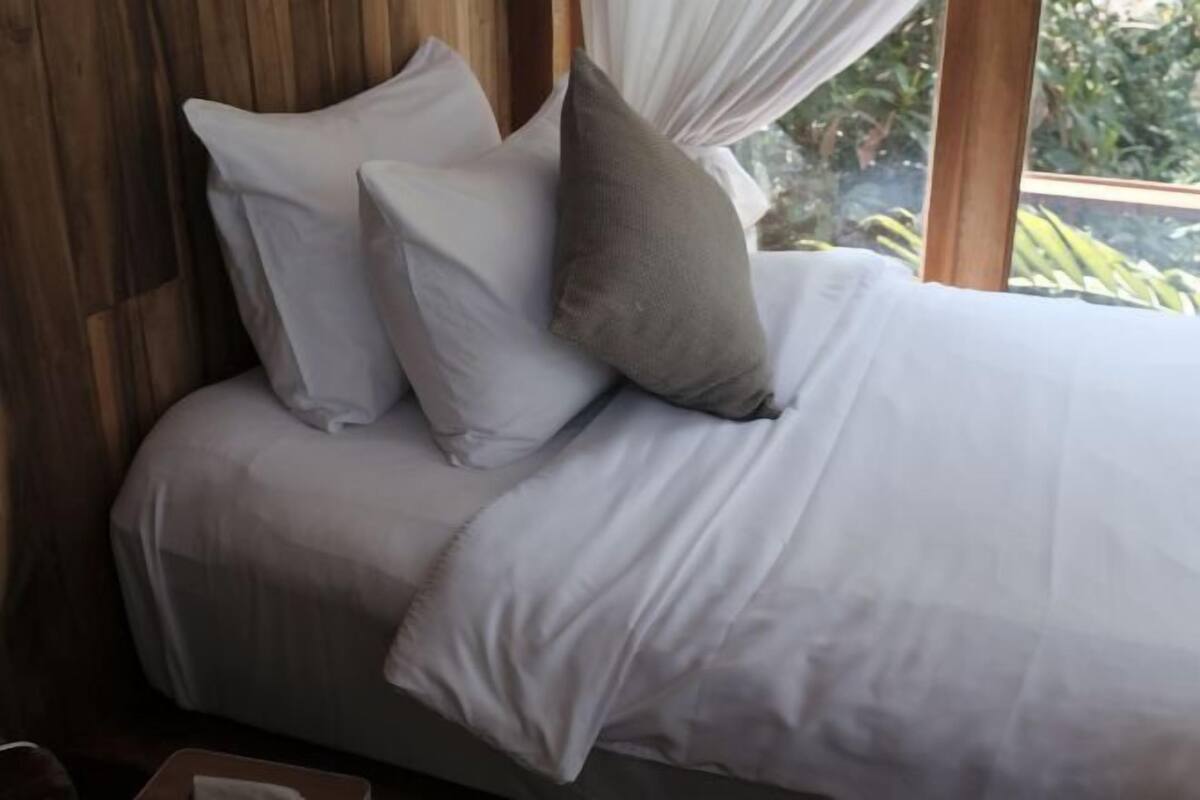 Free minibar items, free WiFi, bed sheets