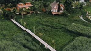 Una casa tradicional con terraza de madera y techo de paja, rodeada de abundante vegetación y un arrozal.