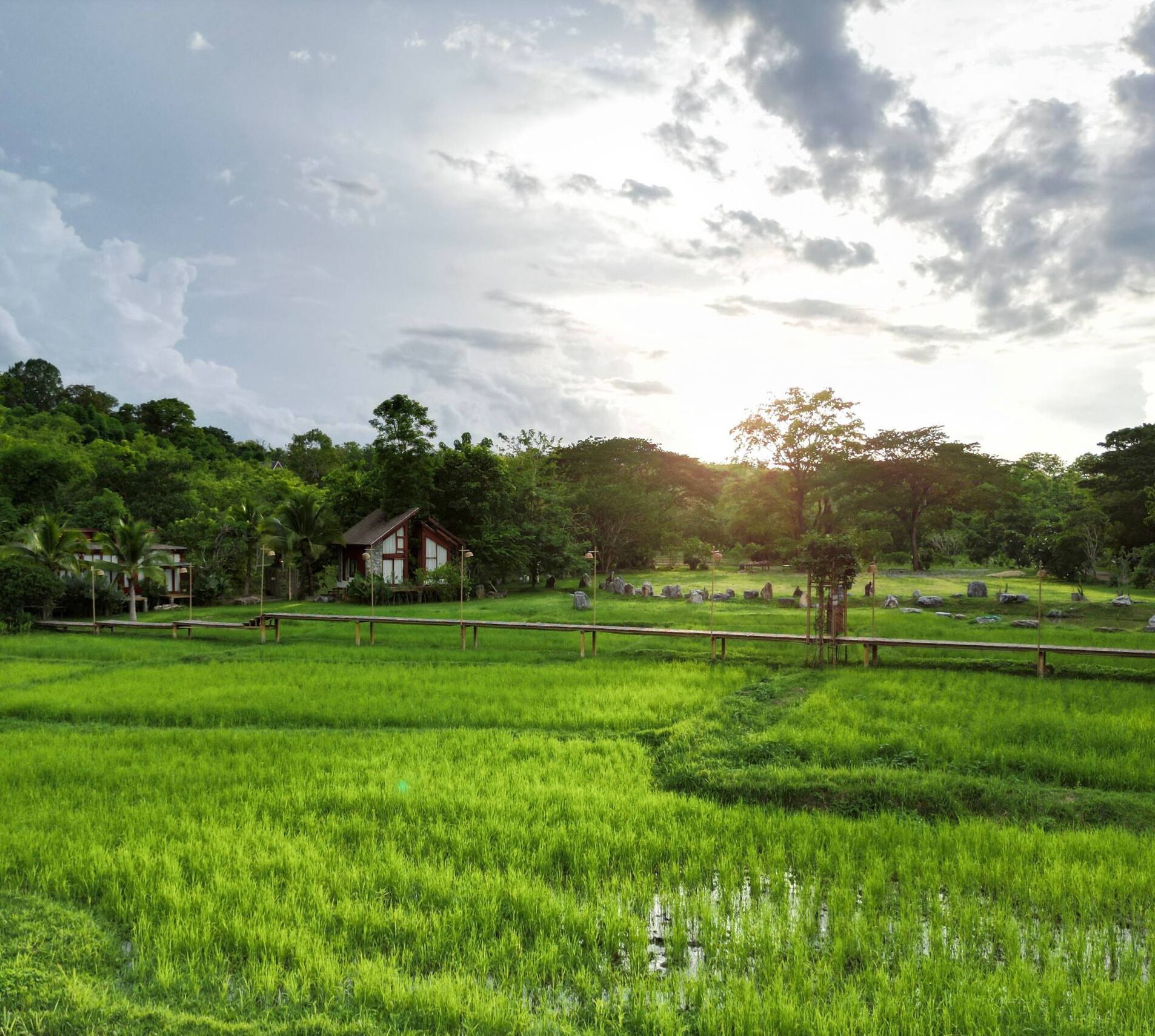 A rural landscape with a small wooden house surrounded by lush green fields and scattered rocks.