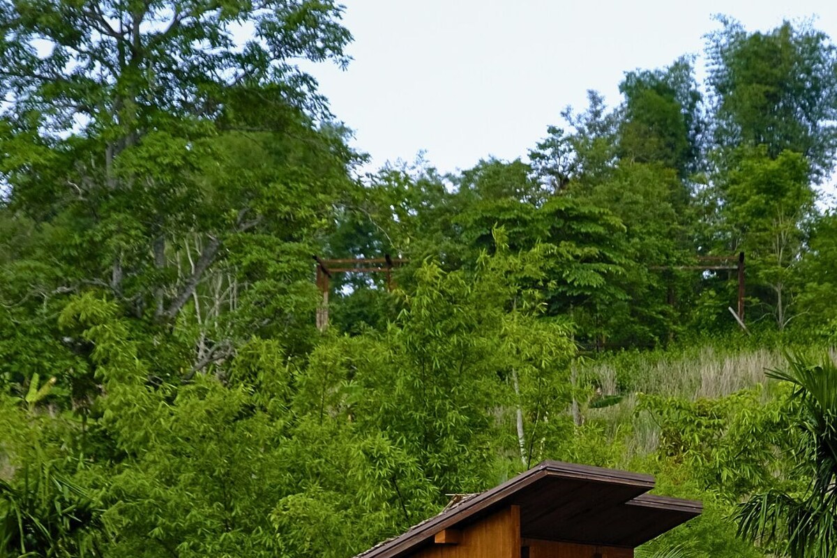 Una cabaña de madera con balcón, rodeada de exuberante vegetación y palmeras.
