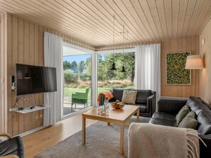 TV, fireplace, DVD player