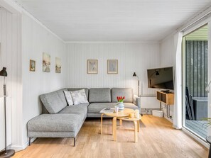 TV, fireplace, DVD player